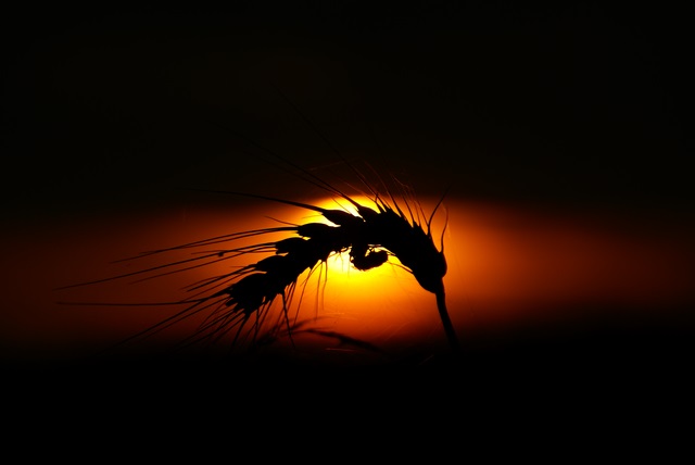 photographies-daniel-lesniewski.com